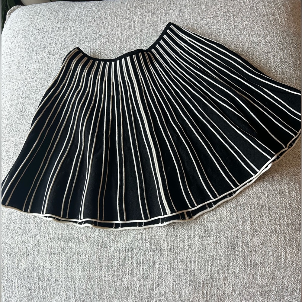 Anthropologie skirt